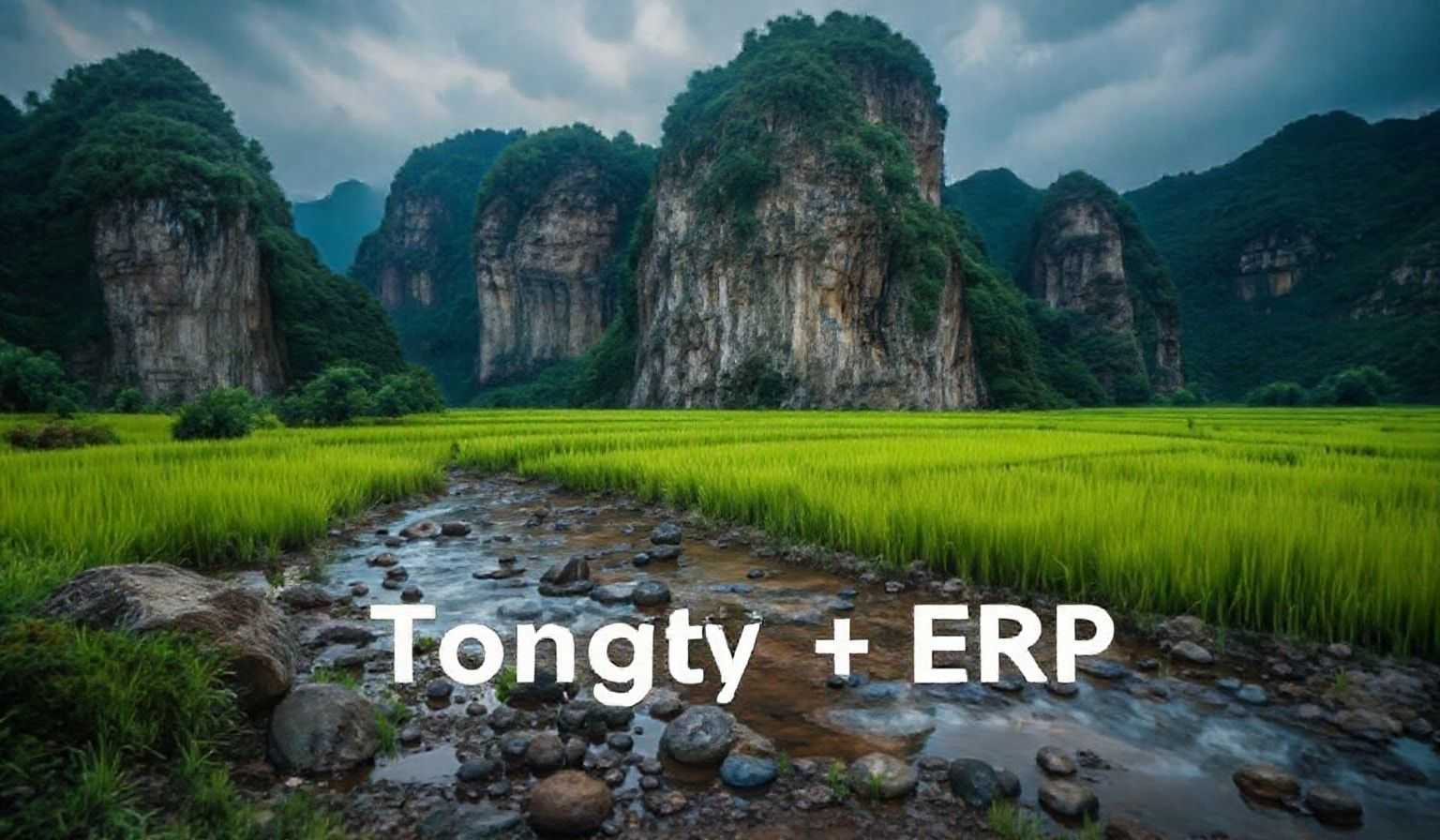 通途ERP王炸！速卖通1688全面打通，海外仓提速，利润狂飙！
