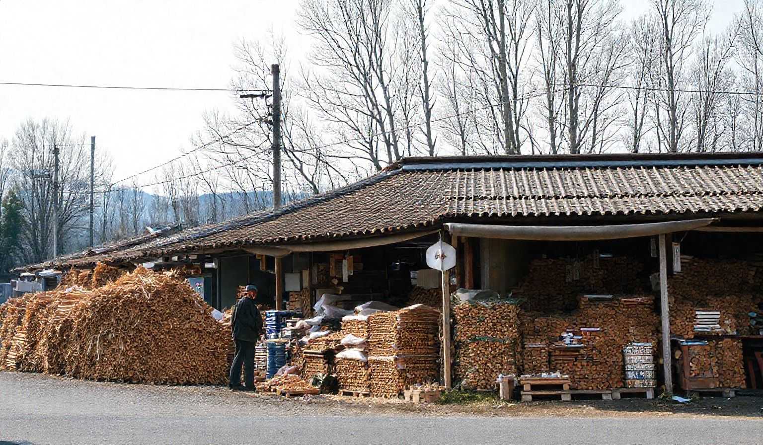 日本木质颗粒：97%进口依赖！13亿美金掘金地！