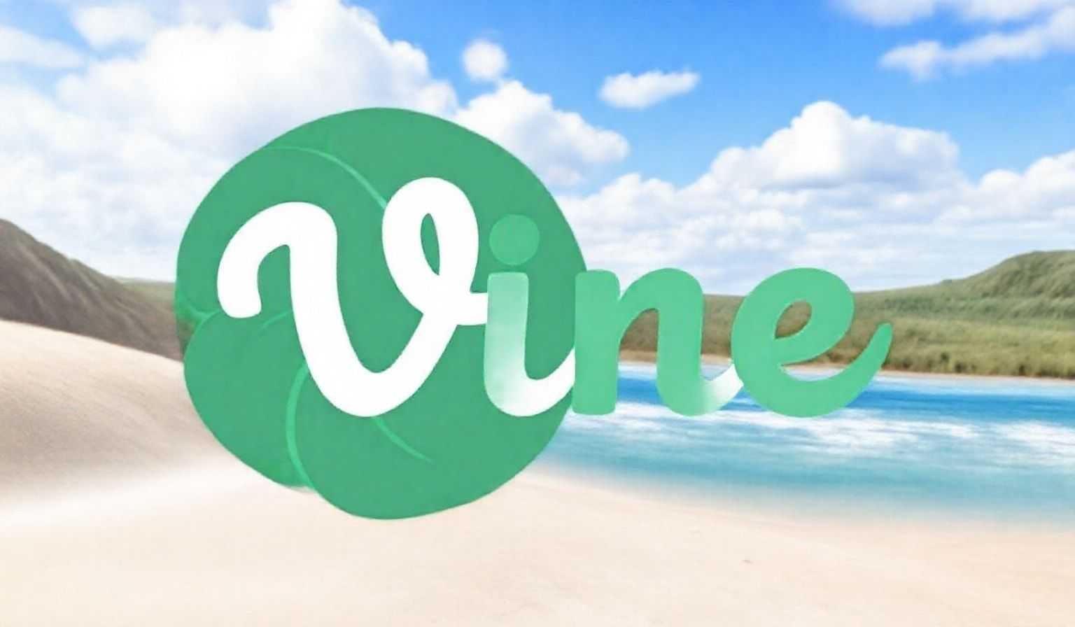 亚马逊Vine 2025大变局：0元评论+全球覆盖！