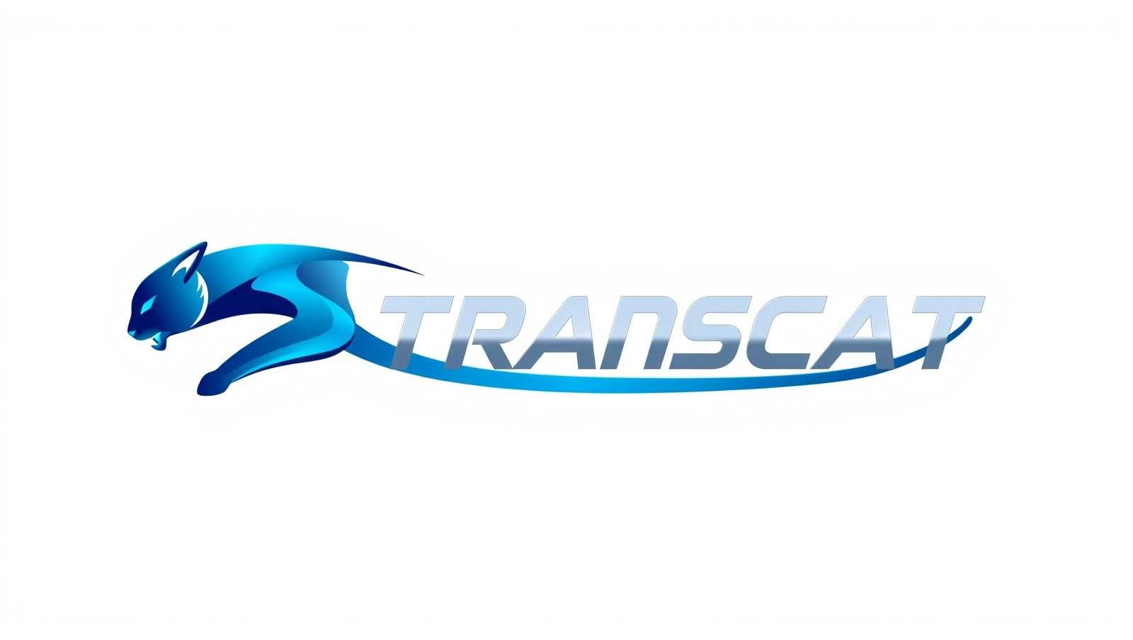 Transcat营收超预期8.8%！同行暴涨41%，跨境卖家的新机遇？